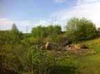 2012 04 28 Bustour des Backhaus Vereins ins Wendland 016